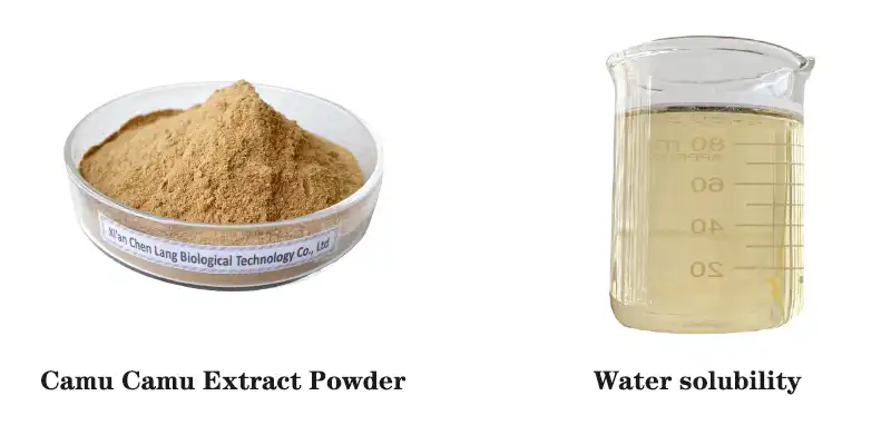 Camu Camu Extract Powder.jpg Camu Camu Extract Powder.jpg
